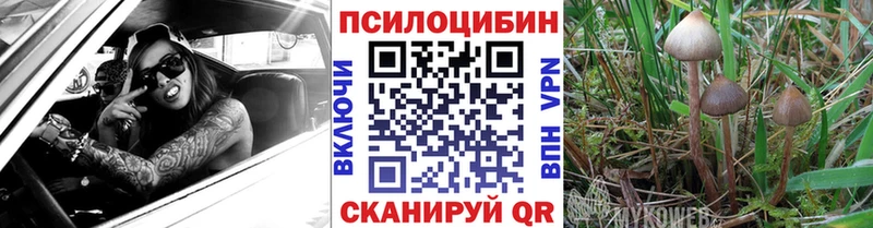 Псилоцибиновые грибы Magic Shrooms Кашира