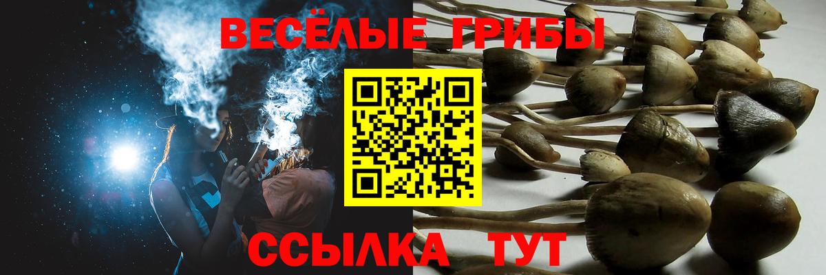 Кашира  Галлюциногенные грибы MAGIC MUSHROOMS  Псилоцибиновые грибы MAGIC MUSHROOMS  Вход с VPN 