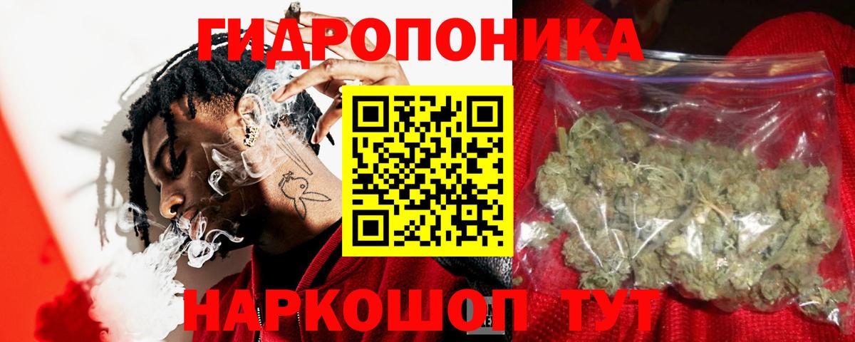 Бошки марихуана конопля  Вход с VPN  Кашира  Конопля сатива 